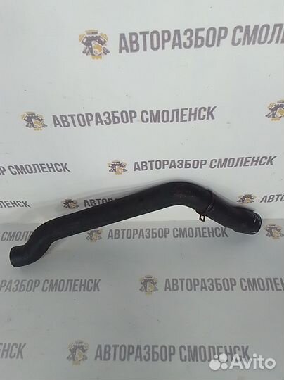 Патрубок радиатора mini Cooper I