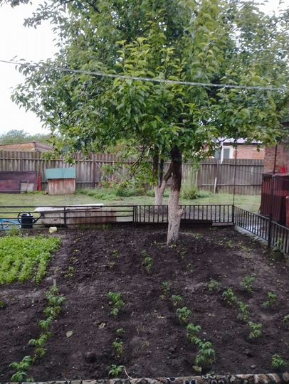 Дом 92,2 м² на участке 5 сот.