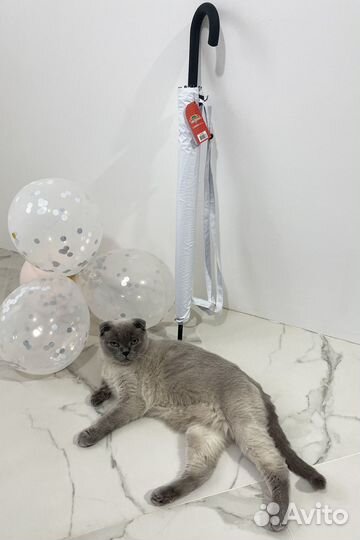 Зонт трость автомат легкий новинка