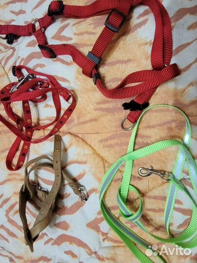 Шлейка для маленькой собаки