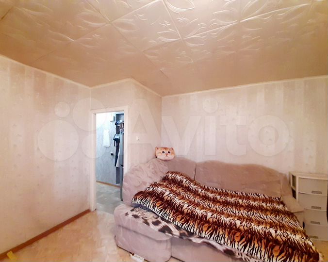 1-к. квартира, 33,1 м², 5/5 эт.