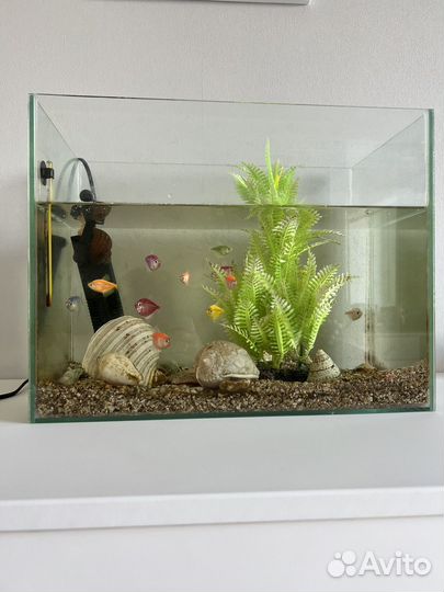 Аквариум с рыбками