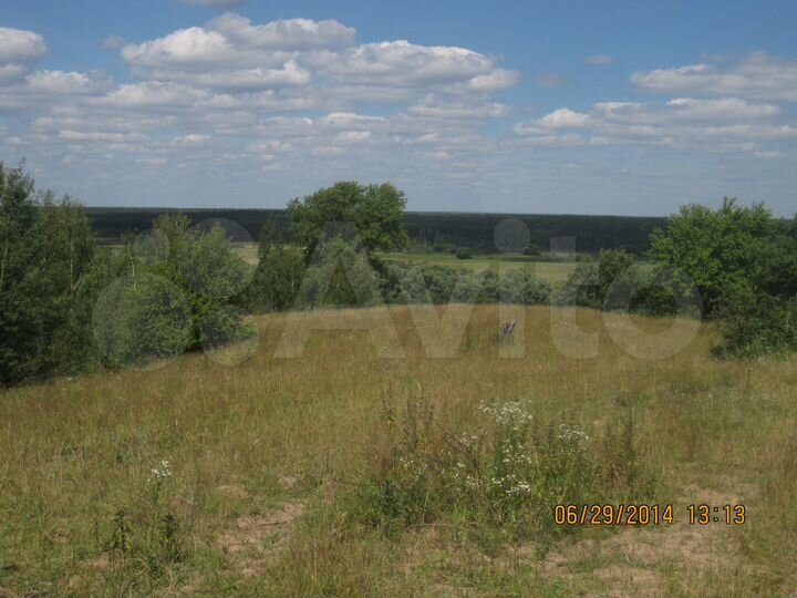 Участок 4,4 га (СНТ, ДНП)