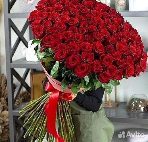 101 роза цветы букеты доставка 25 51 101 роза