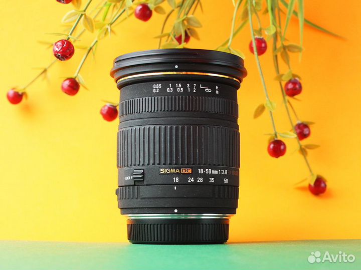 Объектив Sigma DC 18-50mm f2,8 EX (Olympus 4/3)