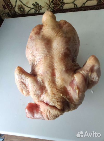 Мясо Домашней птицы