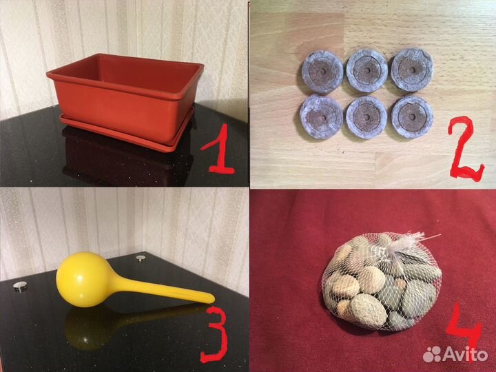 Бонсайница, таблетки торфян, галька (грунт)