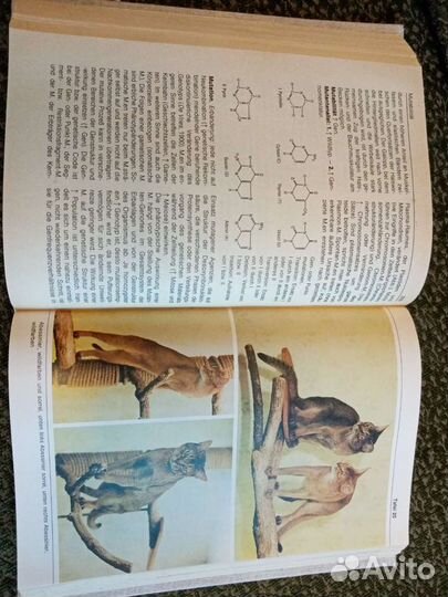 Книга на немецком языке