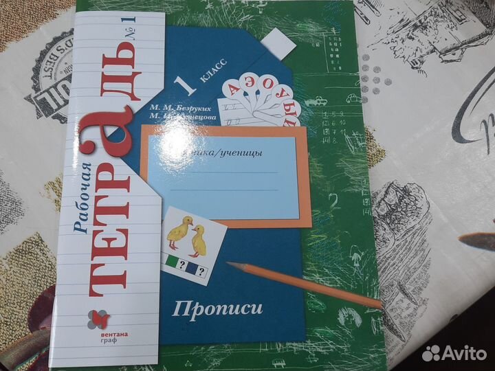 Рабочая тетрадь 1 класс