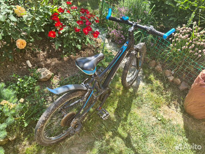 Детский горный велосипед Bergamont Team Junior 20