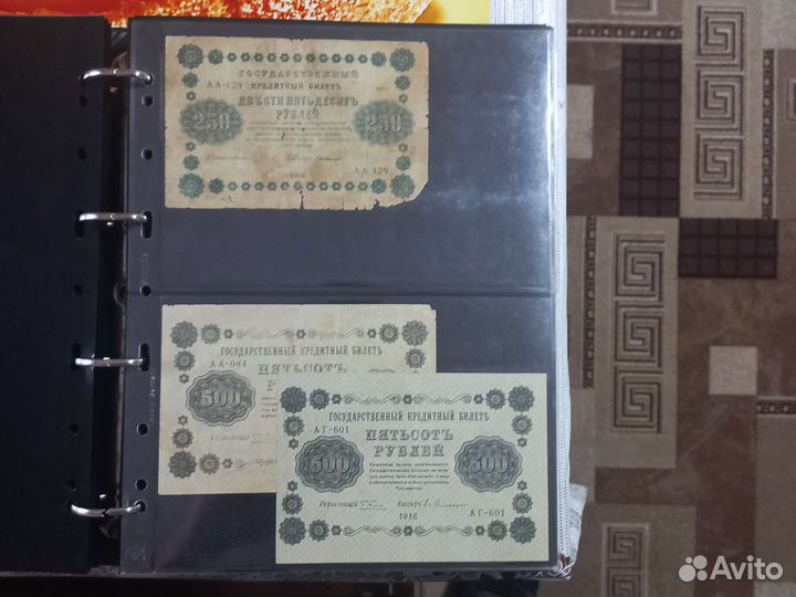 Боны рсфср, ссср, Молодой России