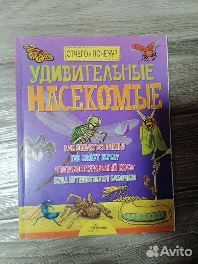 Инцеклопедии