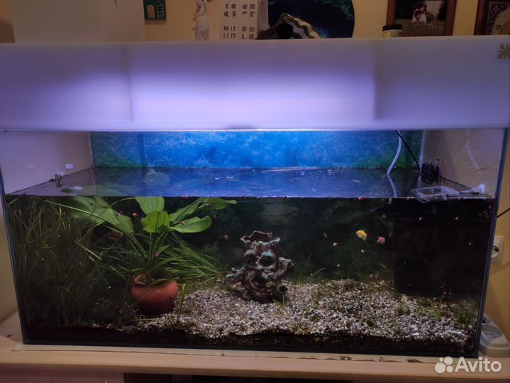 Аквариум