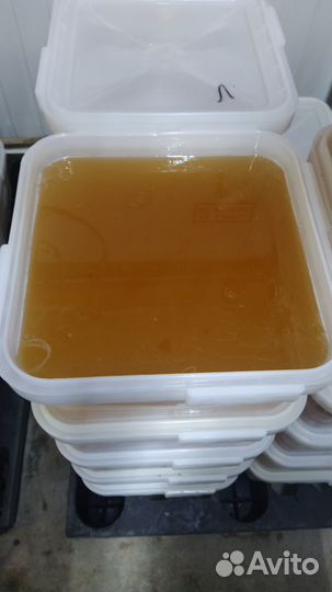 Мёд в куботейнере опт