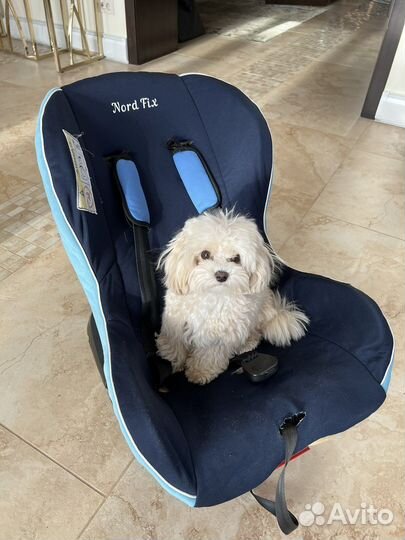 Детское автокресло Nord Fix isofix 9-18 кг