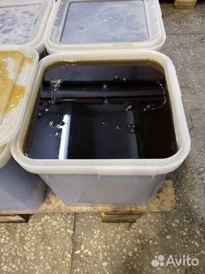 Гречишный мёд Качка 2023 Только оптом