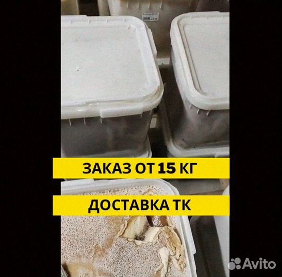 Мед оптом забота о вашем здоровье в каждой капле