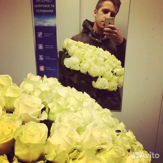 Розы цветы 51 шт мондиаль