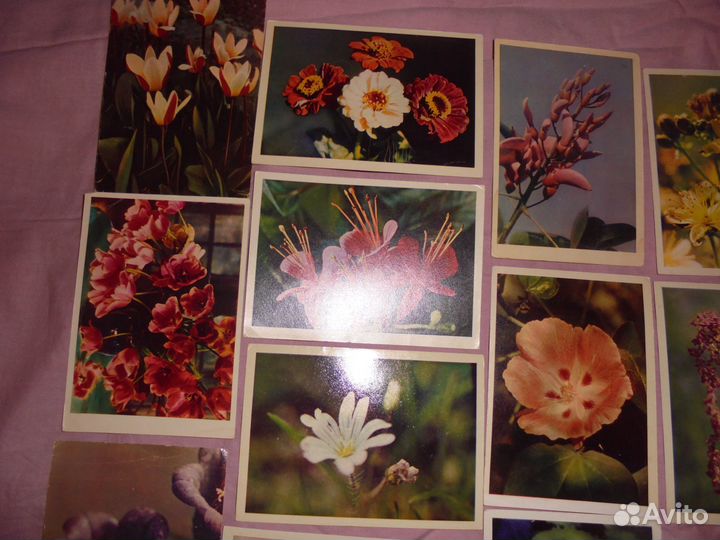 Цветы изд.Правда 1960-1988 гг чистые
