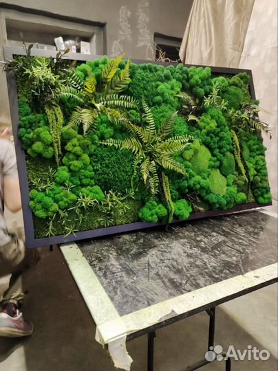 Панно из мха с растениями