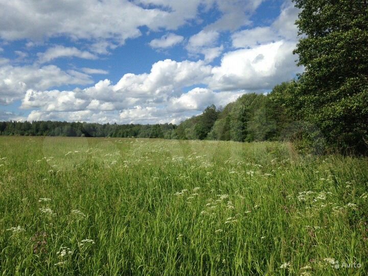 Участок 2,45 га (СНТ, ДНП)