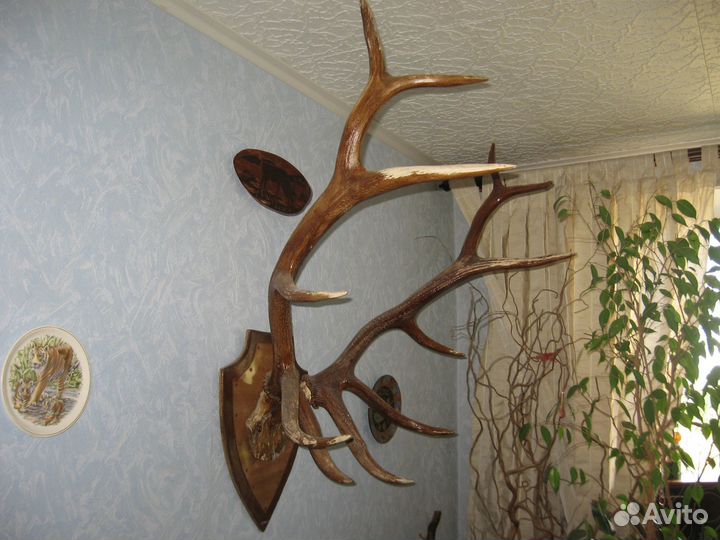 Советский текстиль Ткани Платки СССР и рога