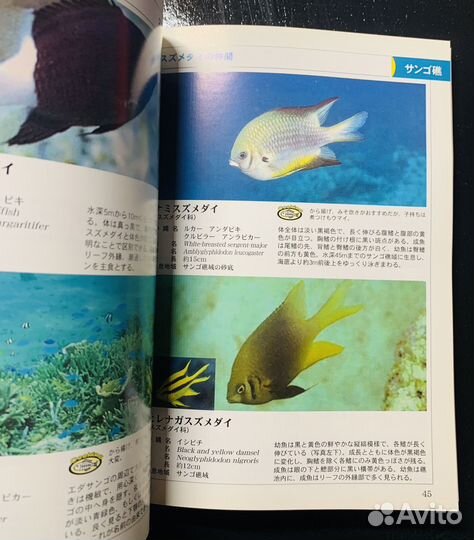 Книги на японском языке о рыбах и рыбалке