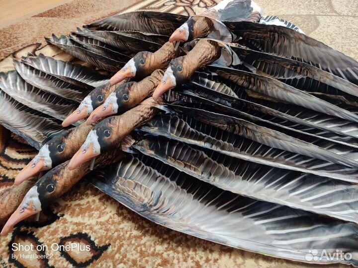 Махокрыл Flywing гусь белолобый