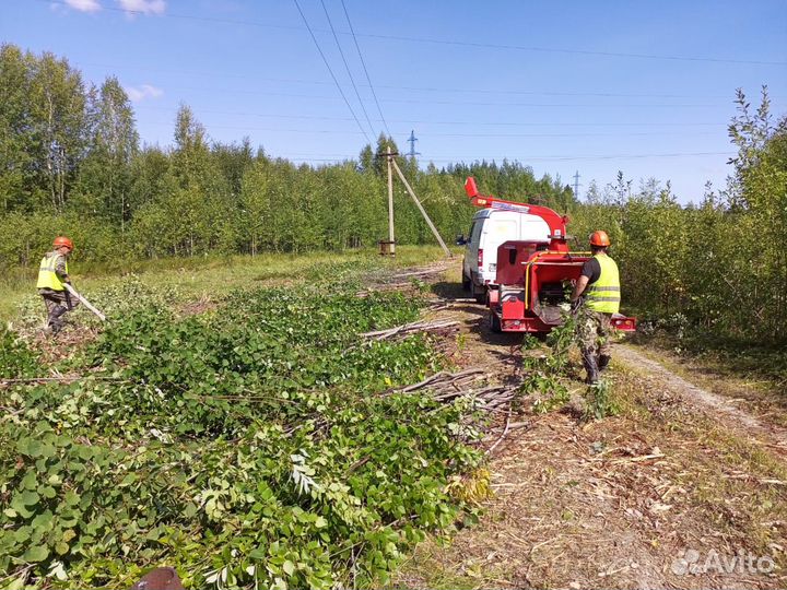 Вальщик леса на расчистку лэп, трубопроводов