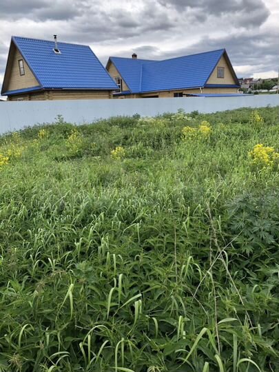 Участок 20 сот. (ИЖС)