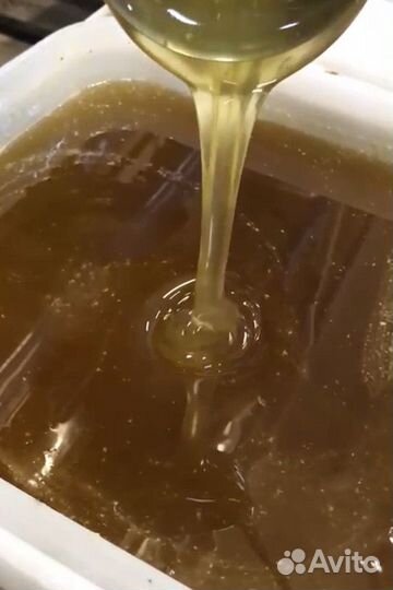 Эспарцетовый мёд оптом Свежий