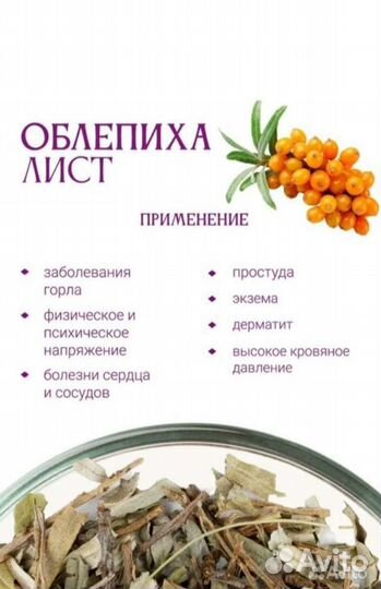 Листья облепихи