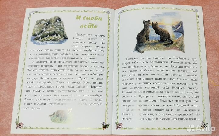 А. Шиенок Маленькие островитяне