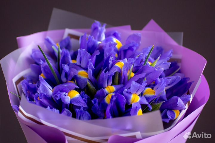 Букет из 15 ирисов