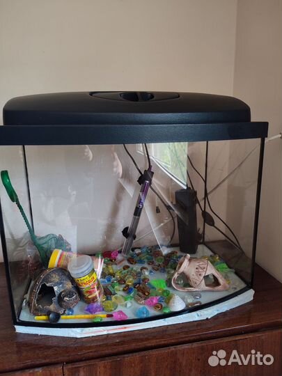Аквариум