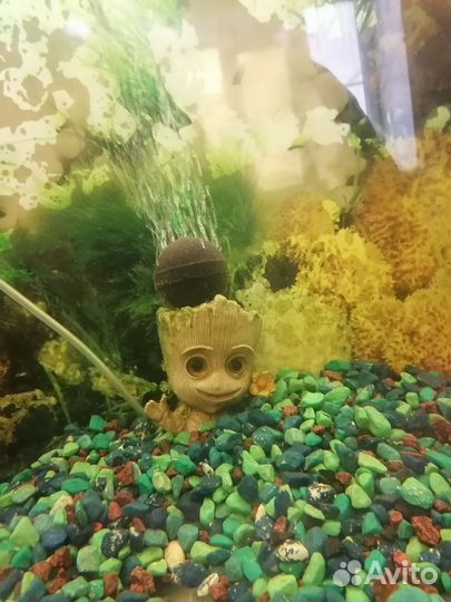 Аквариум с тумбой