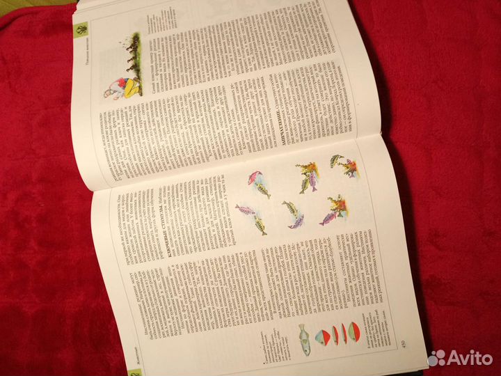 Детская энциклопедия биология