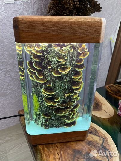 Светильник орешник с грибочками