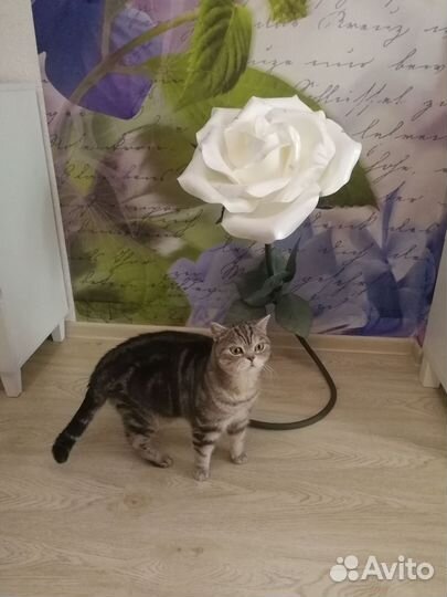 Украшение зала, декор, оформление свадьбы