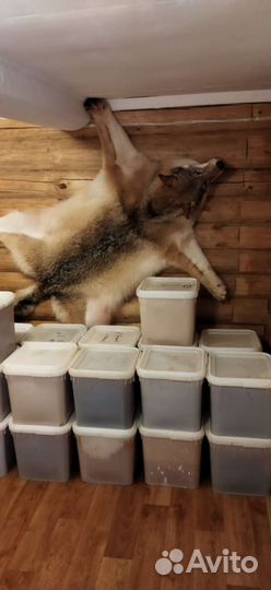 Продам мед оптом