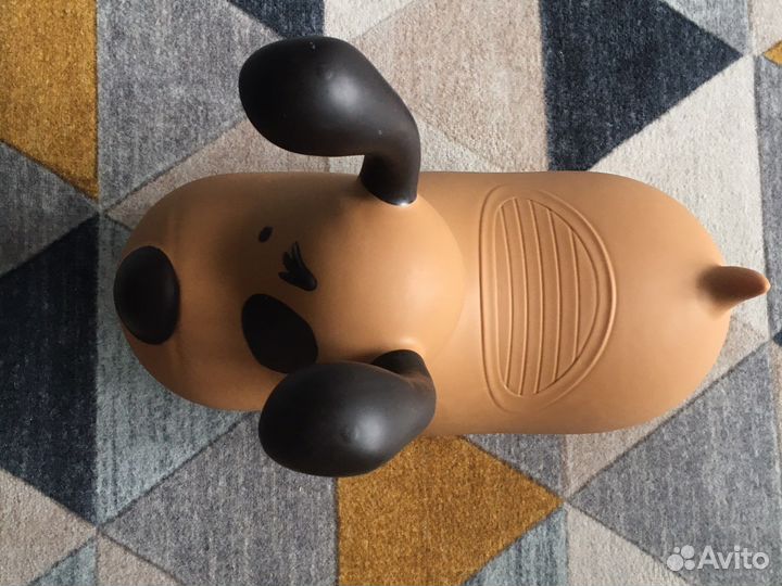 Прыгун пёс Джек