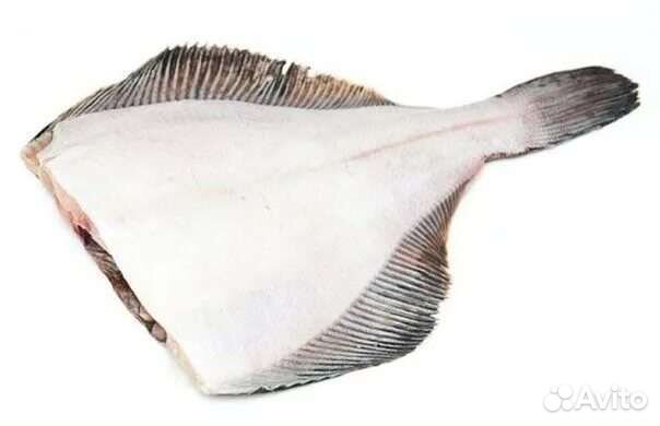 Камбала б/г дальневосточная