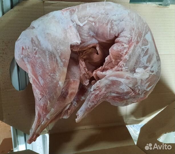 Мясо кролика