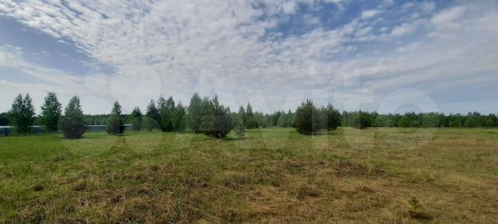 Участок 48,7 сот. (ИЖС)