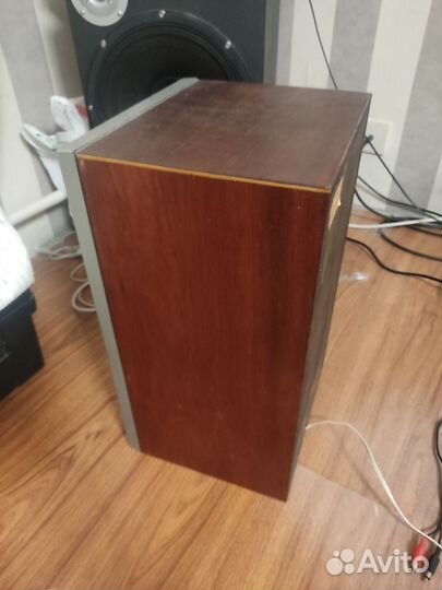 Колонки Вега 25ас 109