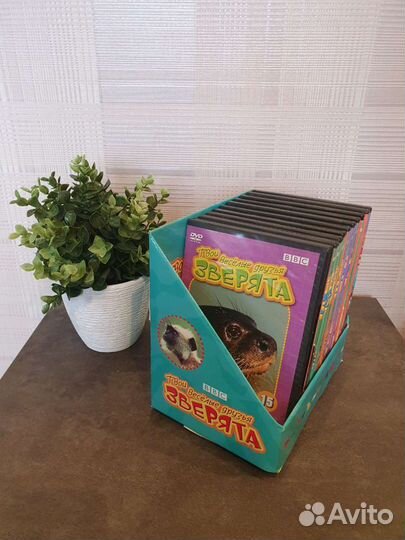 DVD-диски о животных (ввс)