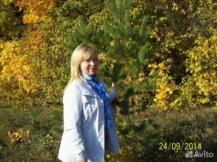 Репетитор по химии для школьников и студентов