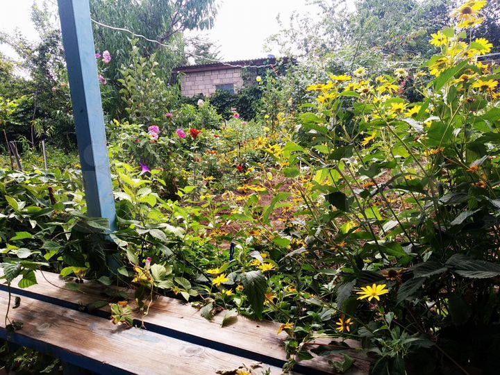 Дача 54 м² на участке 5,5 сот.