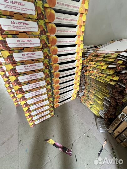 Ящики для клубники. Тара. Евротара