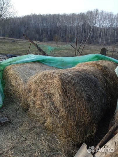 Сено в тюках